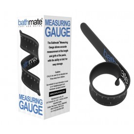 Измерительная линейка Measuring Gauge